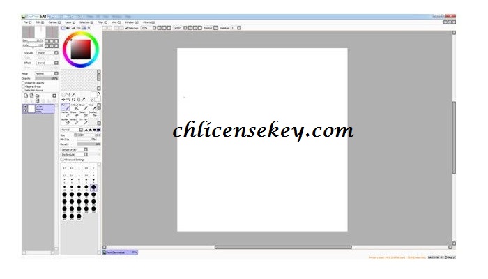 Paint Tool Sai License Key