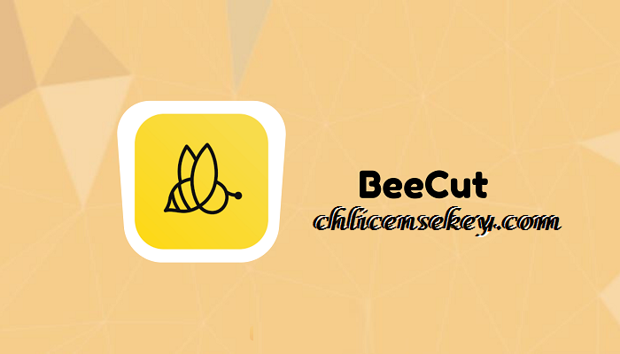 BeeCut Crack